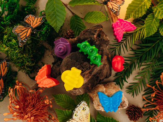 Bug Shaped Crayon Set Creative Kids Art Supplies Handmade Butterfly Snail Bee Crayons Educational Coloring Tools Nature Theme Learning Activities Toddler Fine Motor Skills Development Preschool Classroom Materials Birthday Party Favor Ideas