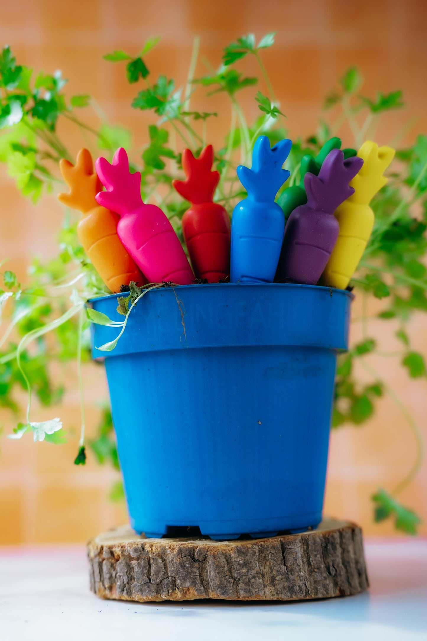 Spring Party Favors Handmade Carrot Crayons Easter Basket Filler Non Candy Alternative Rainbow Colored Art Supplies Toddler Safe Creative Tools Kids Coloring Activities Preschool Classroom Rewards Sugar Free Gift Novelty Vegetable Shaped